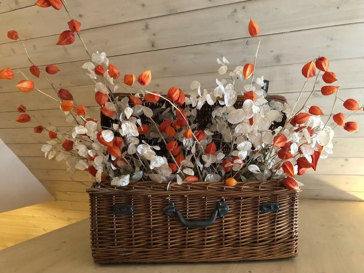 Country house Casa Rey Guest House Vilac Spain